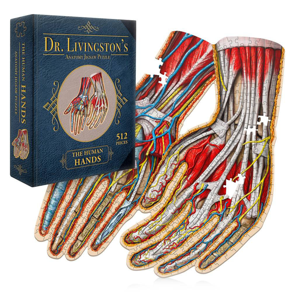 Dr. Livingston's Anatomy Jigsaw Puzzle