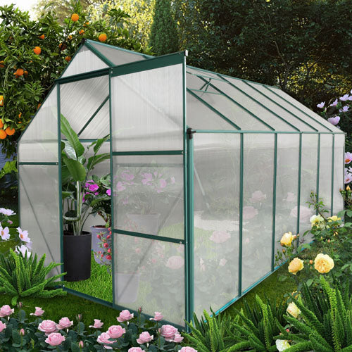 Walk-in Greenhouse Garden (6x12ft)