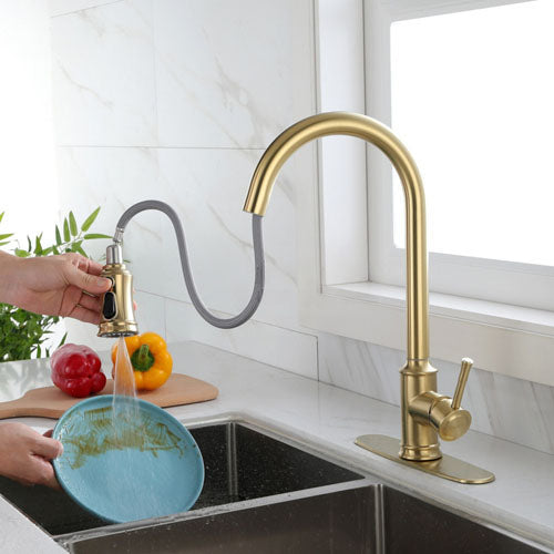 Stainless Steel High Arc Pull Out Kitchen Faucet