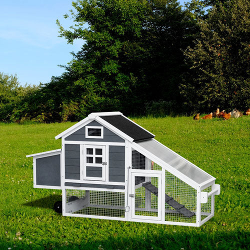 Chicken Coop with Removable Tray & Ramp (Grey)