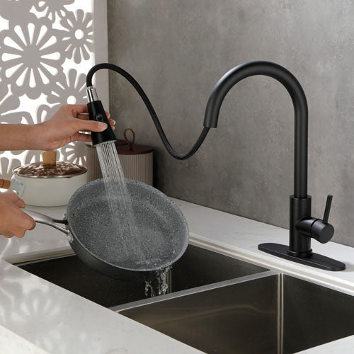 Pull Out Spray Kitchen Faucet (Black)