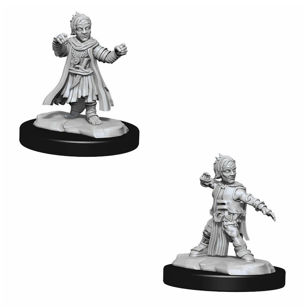 Pathfinder Deep Cuts Unpainted Mini